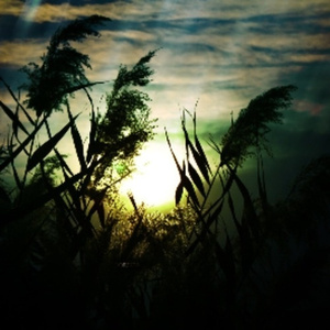 草草影院ccyy国产日本欧美
